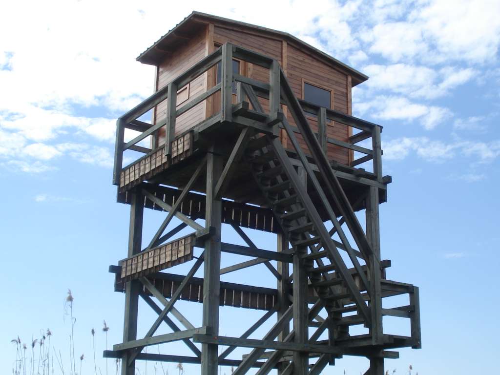 Torres Galería 2
